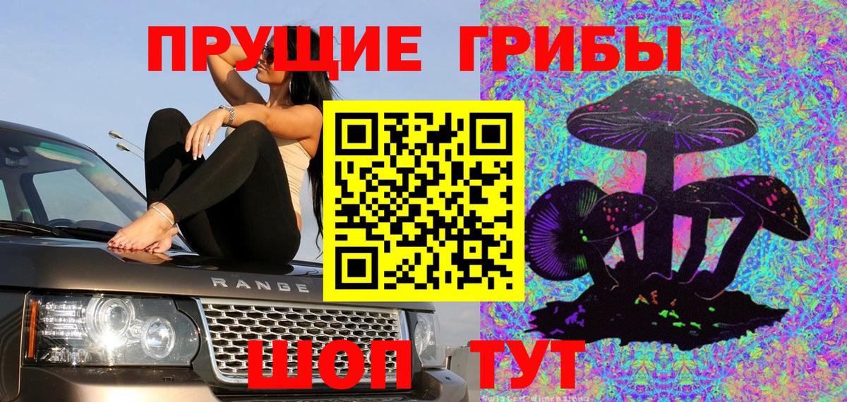 Галлюциногенные грибы Psilocybine cubensis Луга