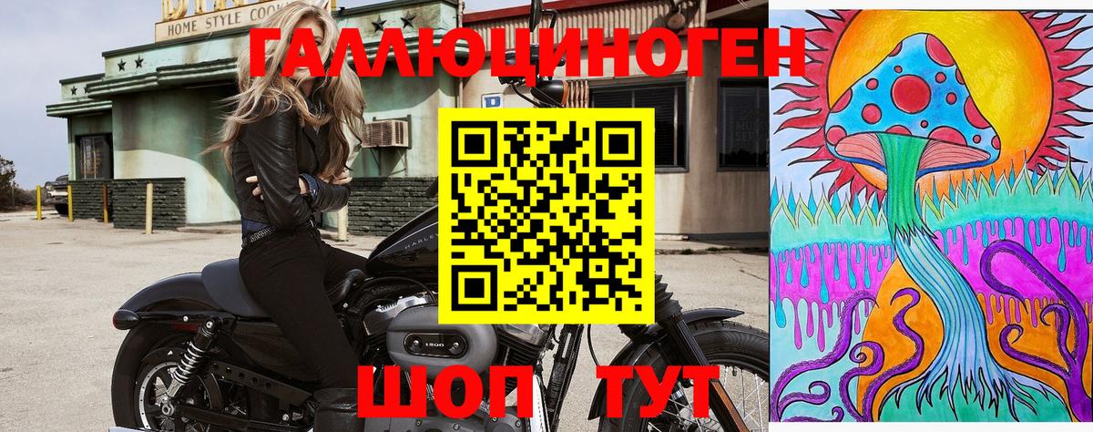 Галлюциногенные грибы прущие грибы  Вход с VPN  Луга  Галлюциногенные грибы мицелий 